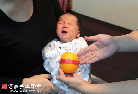 楊寶寶(新北汐止區到府嬰兒寶寶滿月剃頭理髮、免費到府嬰兒剃胎毛儀式吉祥話)。到府剃頭剃胎毛主持、專業拍照、DVD光碟、證書。★購買「臍帶章、肚臍章、胎毛筆刷印章」贈送：剃頭、收涎、抓周，三選一。2015.11.20 照片9